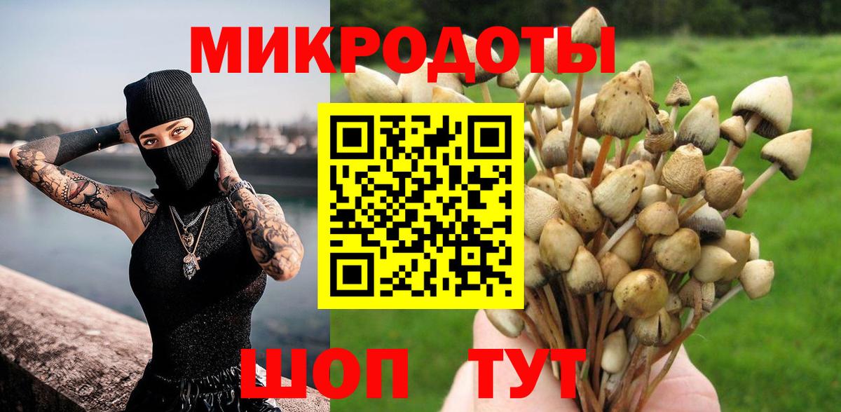 Галлюциногенные грибы ЛСД  Вход с VPN  Ульяновск  Галлюциногенные грибы мухоморы 
