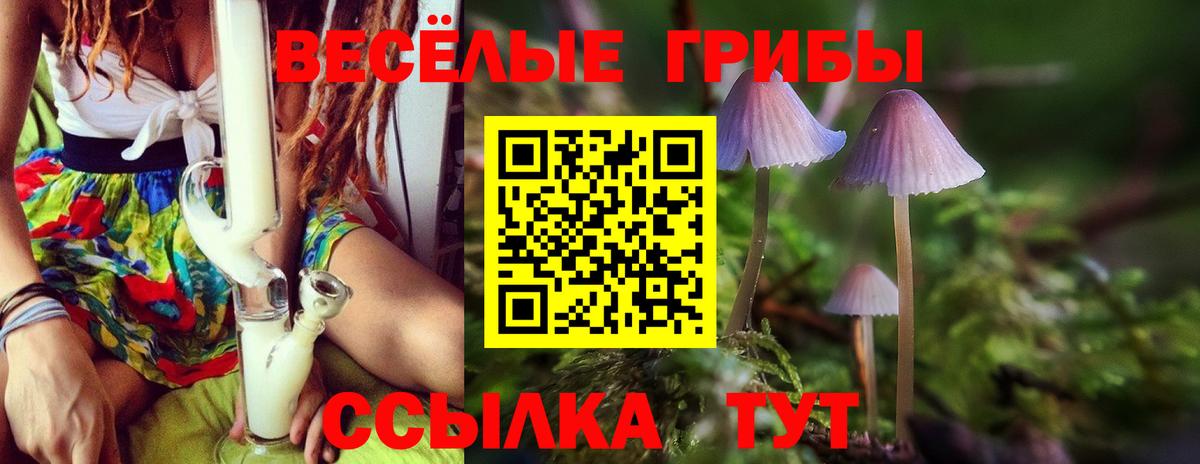 Псилоцибиновые грибы Magic Shrooms Ульяновск