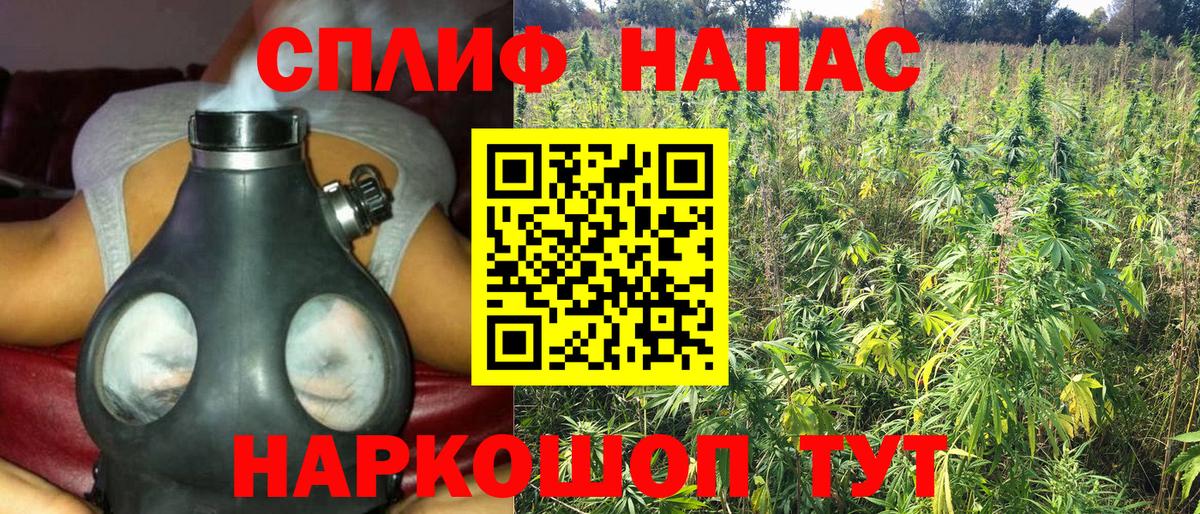 Шишки марихуана гибрид  Вход с VPN  МАРИХУАНА Ganja  Шишки марихуана White Widow  Канабис Bruce Banner  Ульяновск 